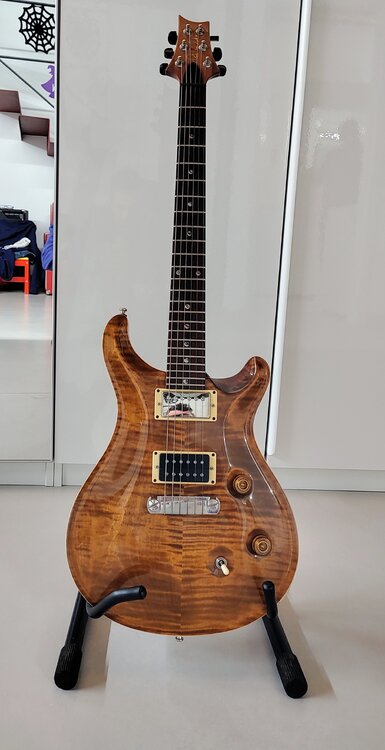 PRS custom24.jpg